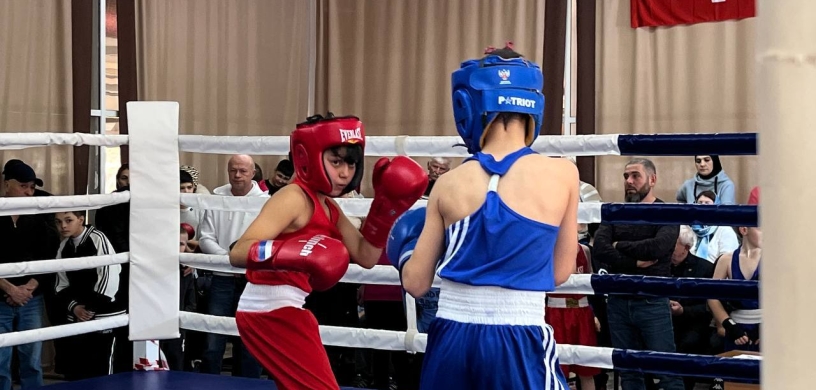 28 января в спортивном комплексе «Алашара» в селе Красный Восток прошло Открытое первенство по боксу среди юниоров.  