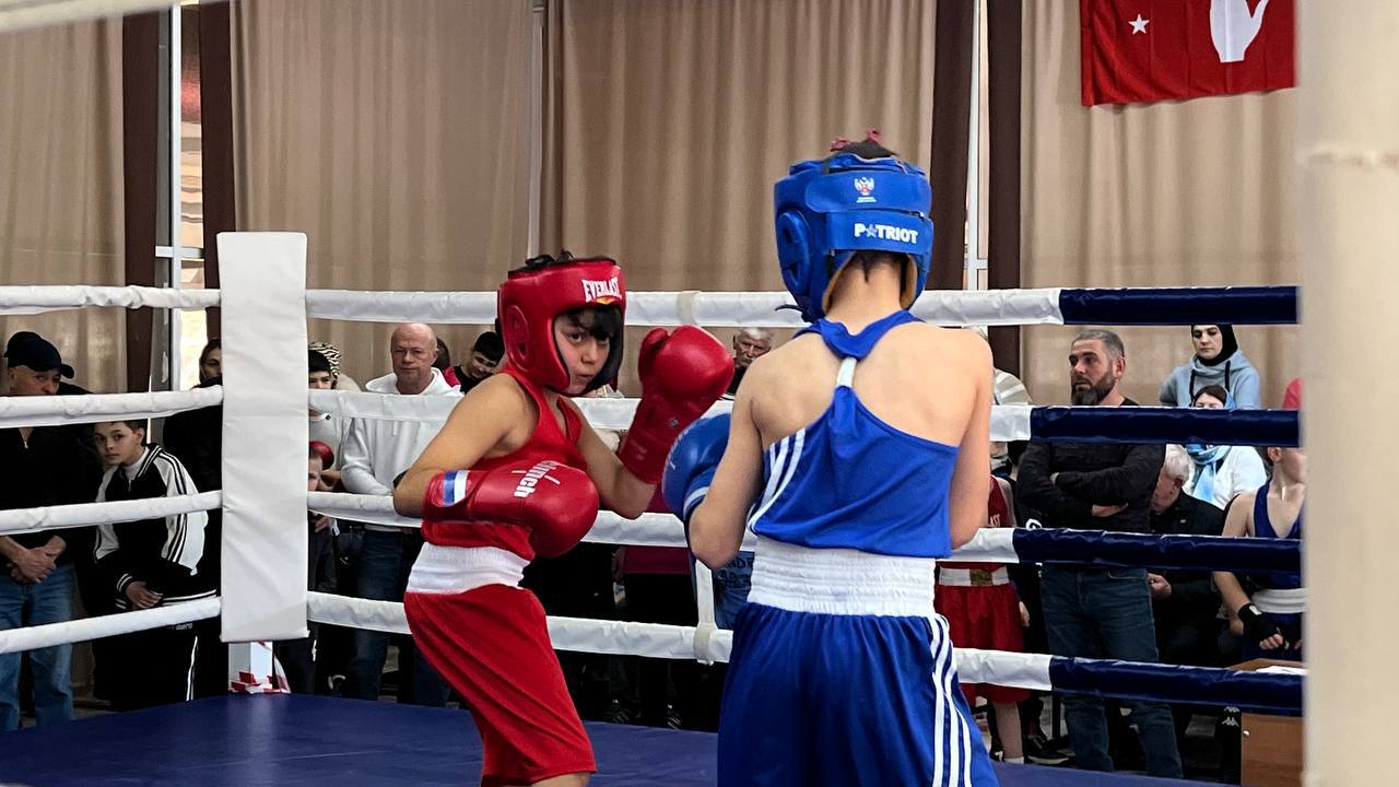 28 января в спортивном комплексе «Алашара» в селе Красный Восток прошло Открытое первенство по боксу среди юниоров.  